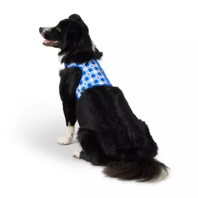 Top Paw Blue Gingham Fashion Comfort Vest Harness - Image 1