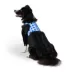Top Paw Blue Gingham Fashion Comfort Vest Harness image thumbnail 1
