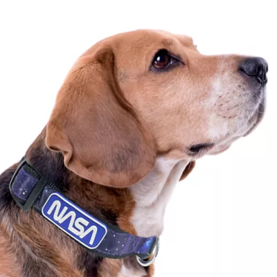 Product  Pets First NASA Satin Dog Collar