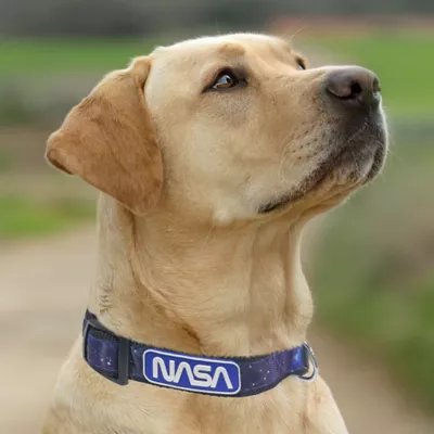 Product  Pets First NASA Satin Dog Collar