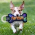 Pets First NASA Planets Squeaky Dental Toy image thumbnail 2