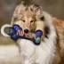 Pets First NASA Planets Squeaky Dental Toy image thumbnail 3