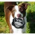 Pets First NASA Squeaky Helmet Tough Dog Toy image thumbnail 3