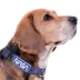  Pets First NASA Satin Dog Collar image thumbnail 3