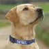  Pets First NASA Satin Dog Collar image thumbnail 4