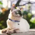 Pets First NASA Satin Cat Collar image thumbnail 3