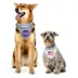 Pets First NASA Reflective Reversible Dog Bandana image thumbnail 4