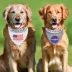 Pets First NASA Reflective Reversible Dog Bandana image thumbnail 5