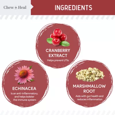 Chew Heal UTI Treatment Cranberry Chews