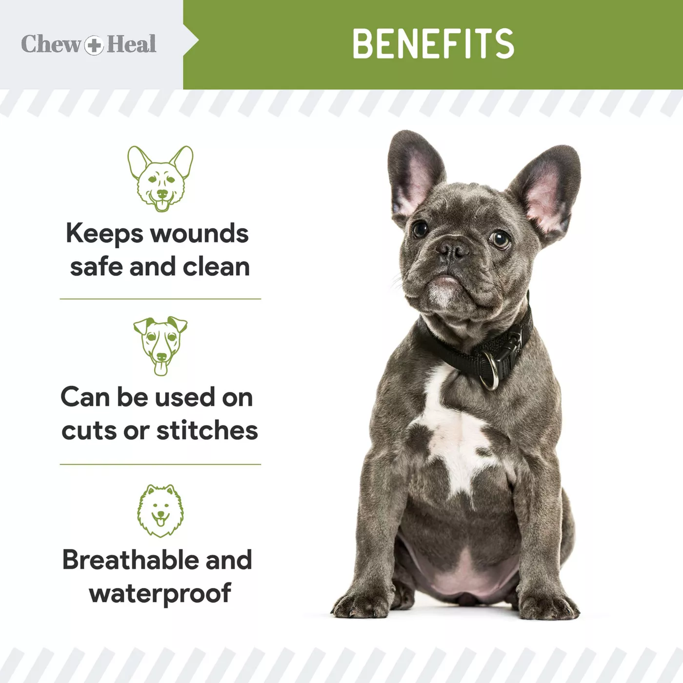 Chew Heal Liquid Bandage First Aid Essential Spray for Dogs