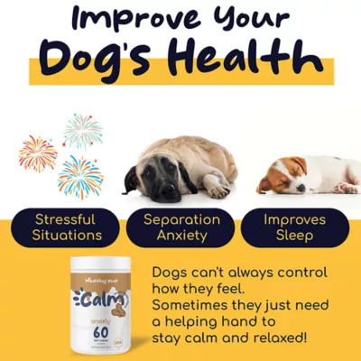 Healthy Pup Peanut Butter Calming Chews for Dogs with Melatonin 60 Soft Treats Dog Anxiety Relief