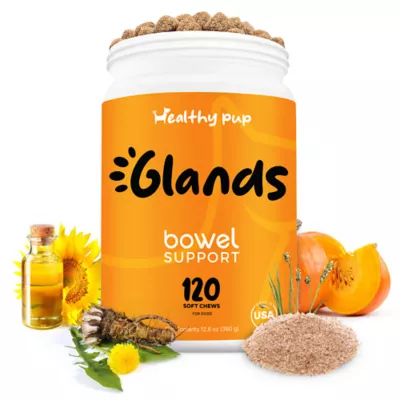 Product Healthy Pup Glands Anal Glands & Scooting Soft Chews for Dogs