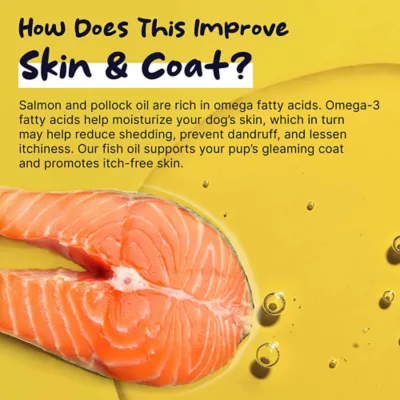 Product Healthy Pup Wild-Caught Alaskan Fish Oil Blend Skin & Coat Liquid Supplement for Dogs