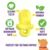 Chew King Premium Treat Dog Chew Toy image thumbnail 4