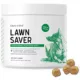 Product Chew + Heal Lawn Saver Green Grass Supplement Soft Chews for Dogs
