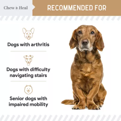 Product Chew + Heal Senior Hip + Joint Supplement Peanut Butter Flavor Soft Chews for Dogs