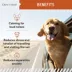 Chew + Heal Anxiety + Stress Calming Supplement Soft Chews for Dogs image thumbnail 4