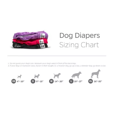 Pet Parents® Dog Diaper, Princess - Includes 3 Dog Diapers, 2 Extendrs® - Image 8