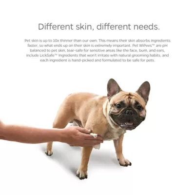 Pet Parents® Pet WiPees™ Dog Allergy Wipes, Natural Scent - Image 5