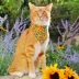 Made By Cleo® Sunflowers Cat Bandana image thumbnail 3