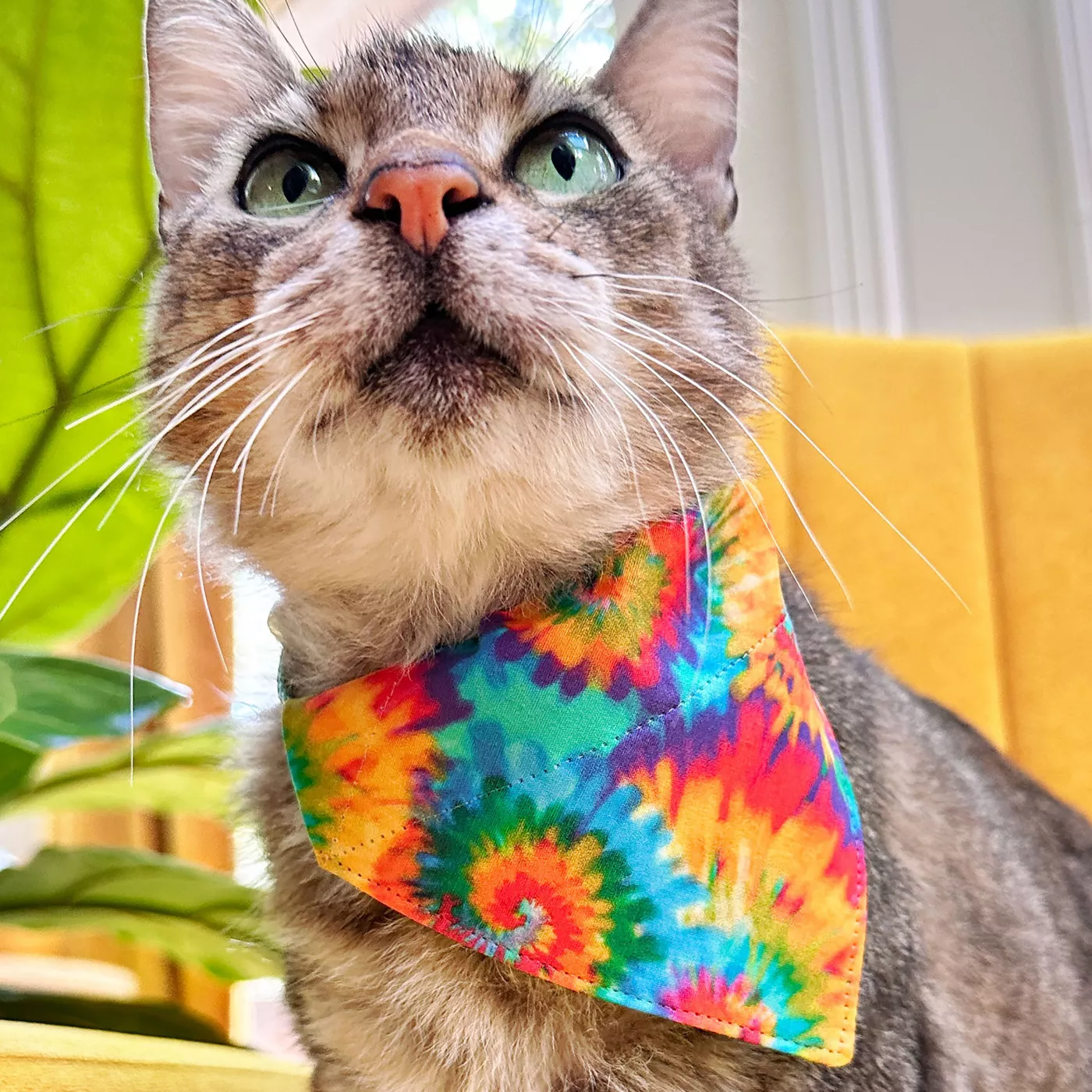 Made By Cleo Woodstock Tie Dye Bandana