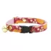 Made By Cleo® Pumpkin Cranberry Cat Collar image thumbnail 1