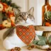 Made By Cleo® Pecan Praline Cat Bandana image thumbnail 3