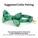 Product Made By Cleo® Dublin Plaid Cat Bow Tie