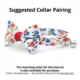 Product Made By Cleo® Home Sweet Home Cat Bow Tie