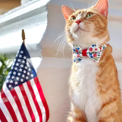 Product Made By Cleo® Home Sweet Home Cat Bow Tie