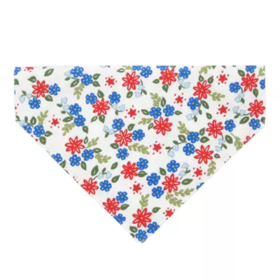Product Made By Cleo® Home Sweet Home Cat Bandana