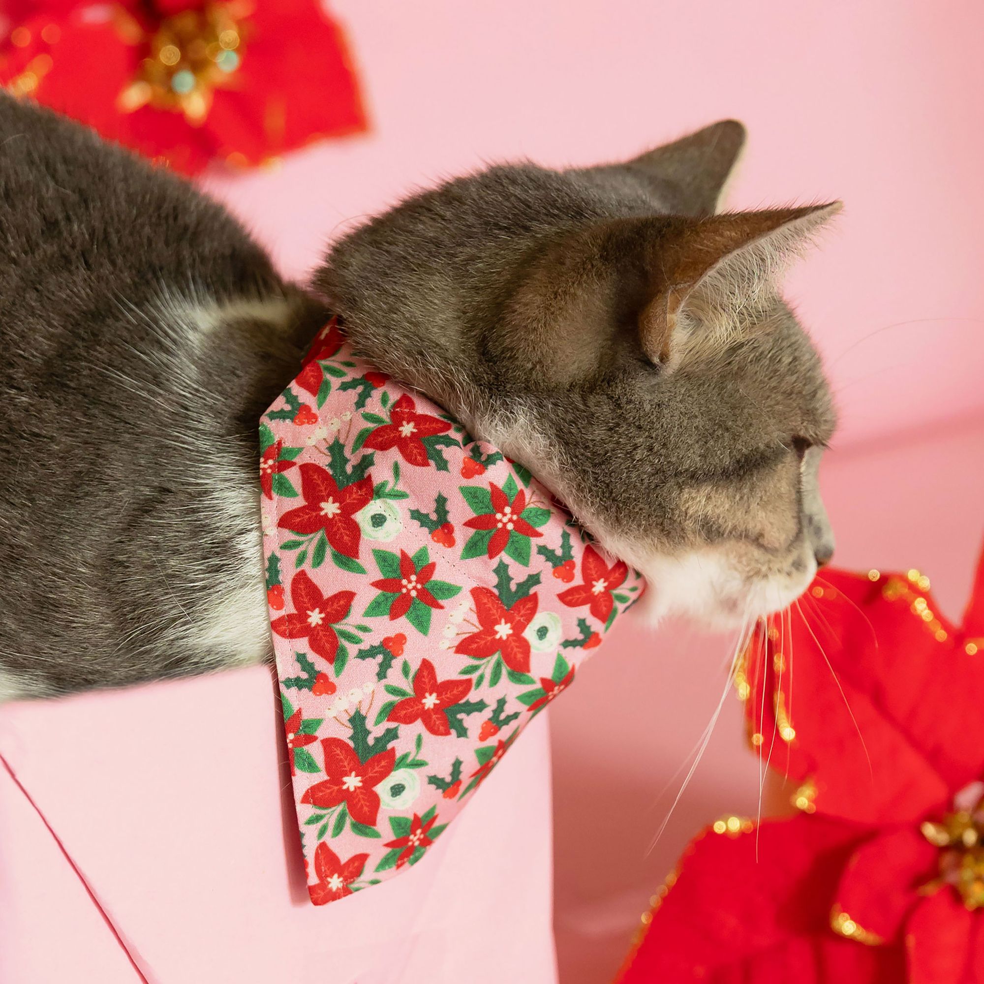 Made By Cleo Winter Blooms Pink Cat Bandana PetSmart in Tustin CA