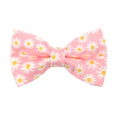Product Made By Cleo® Daisies Pink Cat Bow Tie