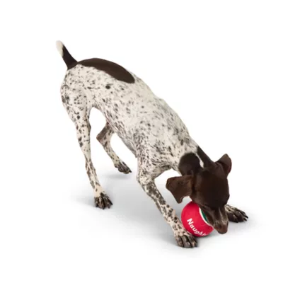 Product Merry & Bright Naughty & Nice Tennis Ball Dog Toy