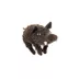 MIGHTY Massive Safari Javelina Dog Toy image thumbnail 4