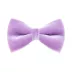 Made By Cleo® Velvet Lavender Cat Bow Tie image thumbnail 1