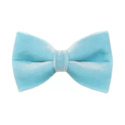 Product Made By Cleo® Velvet Frosty Blue Cat Bow Tie