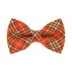 Made By Cleo® Pecan Praline Cat Bow Tie image thumbnail 1