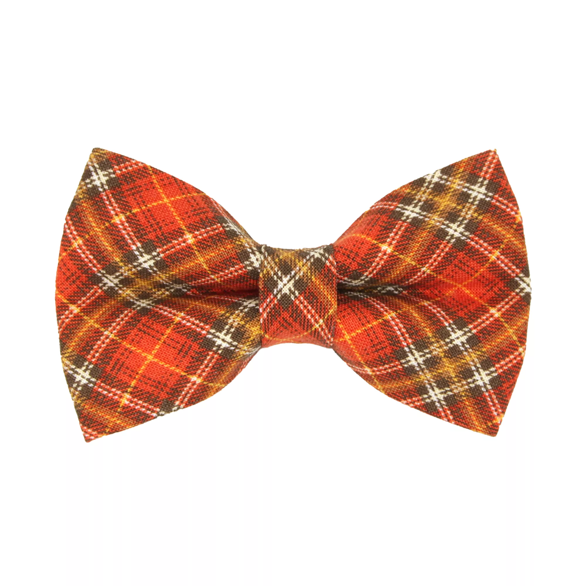 Made By Cleo® Pecan Praline Cat Bow Tie