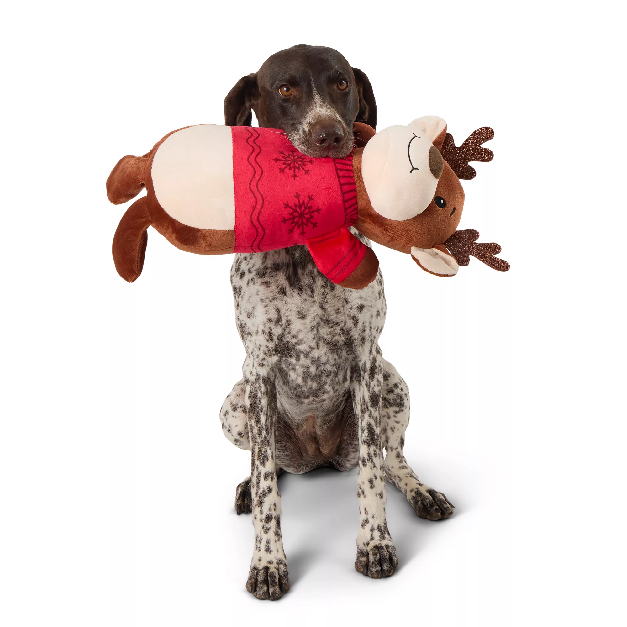 Merry & Bright&trade; Plush Reindeer Dog Toy