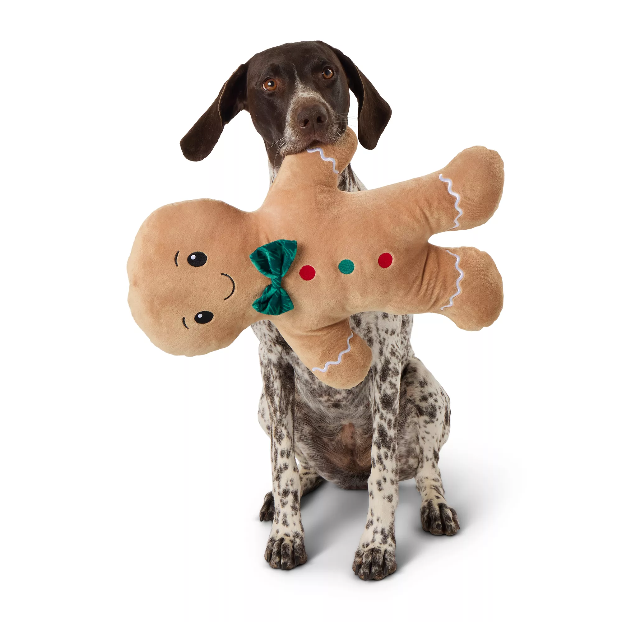 Merry & Bright&trade; Plush Gingerbread Man Dog Toy