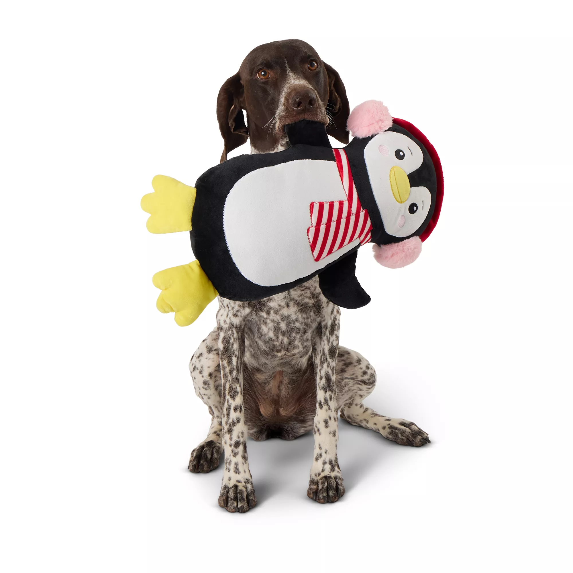 Merry & Bright&trade; Plush Penguin Dog Toy