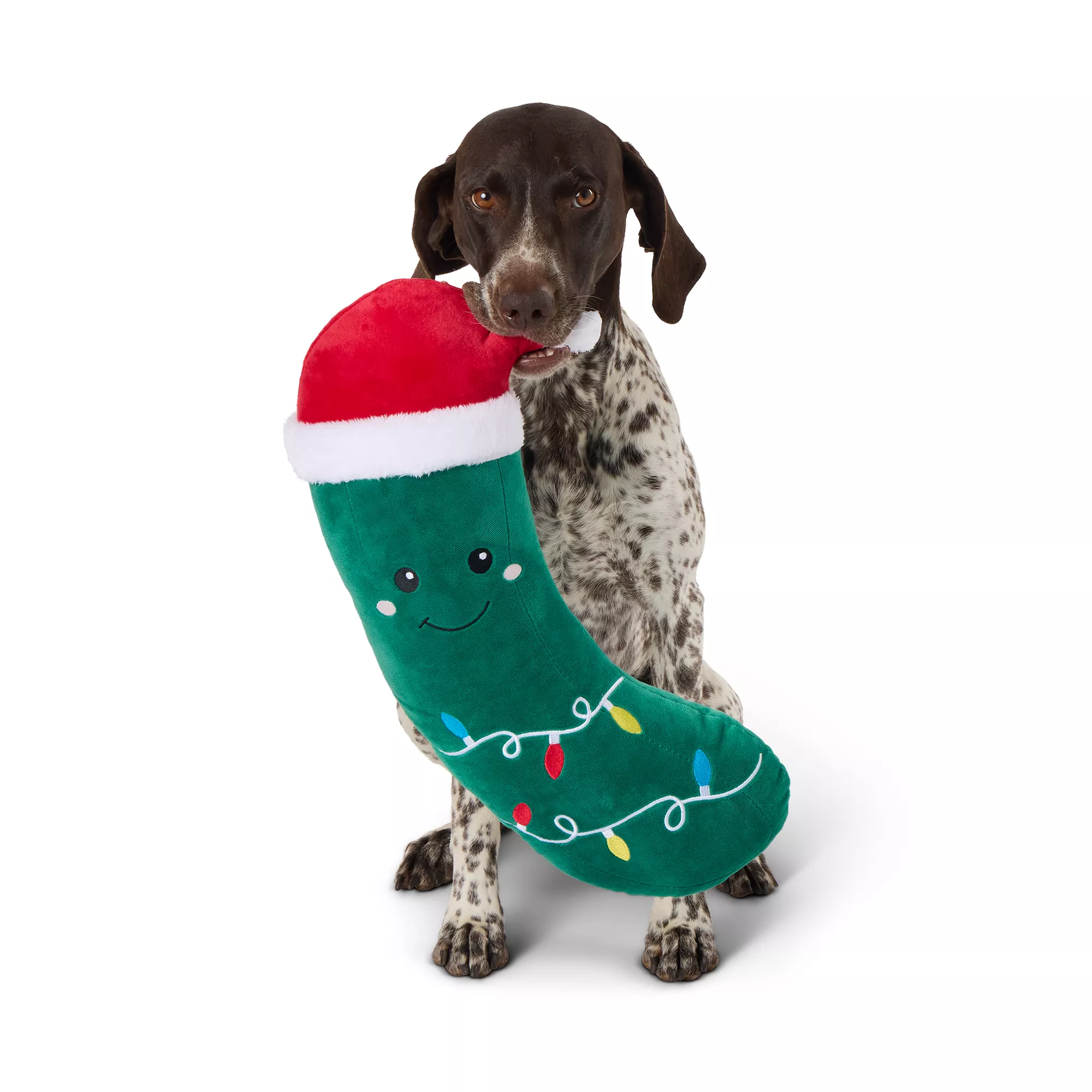 Merry & Bright&trade; Plush Holiday Pickle Dog Toy