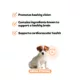 Product  Snuggle Puppy® Puppy Bites Grow Strong Supplement for Healthy Support of Eyes, Brain & Heart