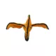 Product TUFFY® Dinosaur Pterodactyl Dog Toy
