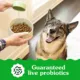 Product Greenies Smart Essentials High Protein Adult Dry Dog Food - Chicken