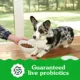 Product Greenies Smart Essentials High Protein Small Breed Adult Dry Dog Food - Chicken