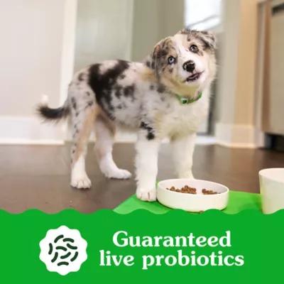 Product Greenies Smart Essentials High Protein Dry Puppy Food - Chicken