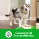 Product Greenies Smart Essentials High Protein Dry Puppy Food - Chicken