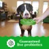 Greenies Smart Essentials Sensitive Digestion & Skin Adult Dry Dog Food - Lamb image thumbnail 5